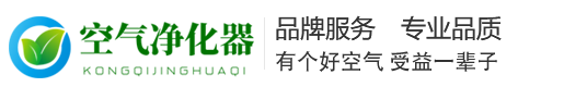柔远科技独立站A119-环保节能智能空气净化器网站